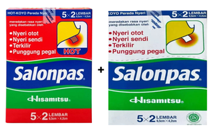 Salonpas Pain Relief Combo Pack — HOT + Regular 100 Patches Each